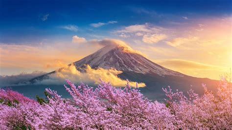 Montaña De Fuji Y Flores De Cerezo En Primavera Japón Foto Premium