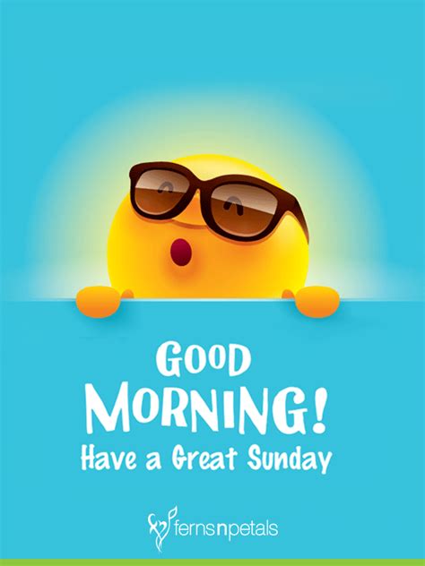 Happy Sunday  For Whats App Happy Sunday Morning Good Morning