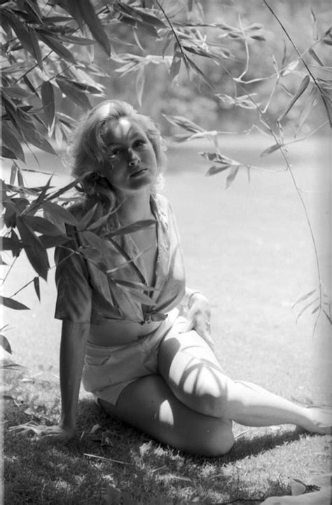 Julie Newmar Photograph By Don Ornitz Pixels