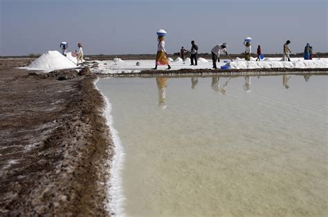 A Look At Salt Production In India Ibtimes India