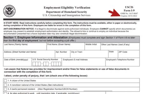 I 9 Employment Eligibility Verification Form 2023 Printable Forms