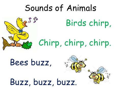 Sounds Of Animals
