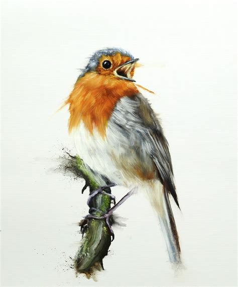 Singing Robin Bird Oils 40x50cm Rart