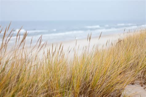 Kostenlose Foto Strand Meer Küste Natur Gras Sand Ozean