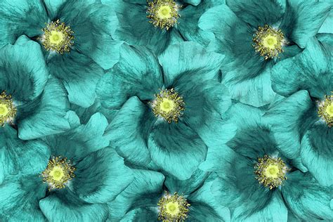 Floral Background Turquoise Flowers Photograph By Fnadya76 Fine Art