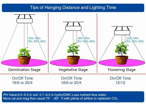 The lamp is specially designed for quicker germination and growth and has a. 11 Easy Guidelines To Know Before Buying Grow Lights