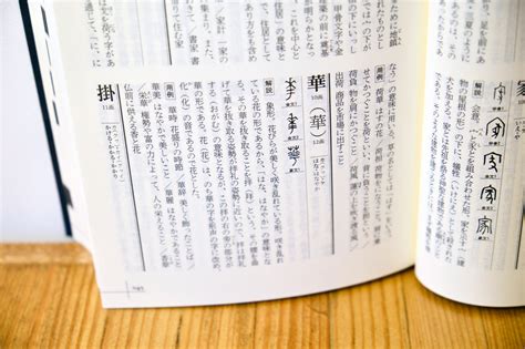 Japanese To English Dictionary With Pronunciation Molqyrap