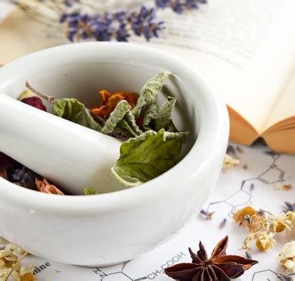 Try These Herbs To Help Boost Your Immune System TIMETOSPA