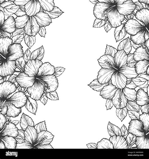 Hand Drawn Tropical Hibiscus Flower Seamless Floral Pattern With