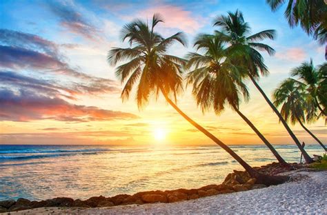 752457 4k Tropics Coast Sea Sunrises And Sunsets Palms Rare
