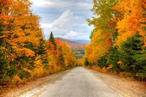 Maine Fall Foliage