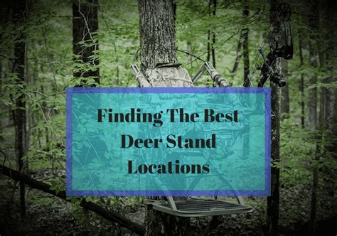 The Best Deer Stand Locations To Find That Trophy Buck