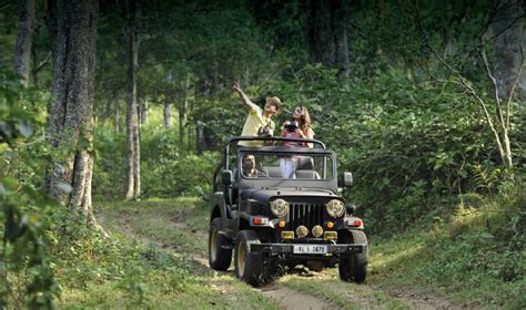 10 Best Jeep Safari Tours In Kerala 2019 With 550 Reviews