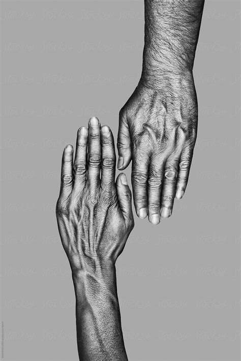 Hands Of A Old Man And Woman Black And White Del Colaborador De
