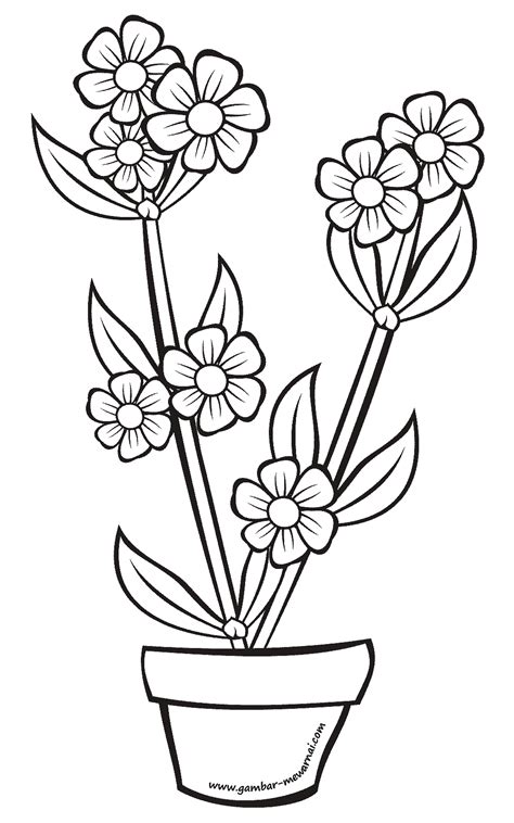 Gambar Pagar Kartun Hitam Putih Kumpulan Sketsa Gambar Bunga Tulip
