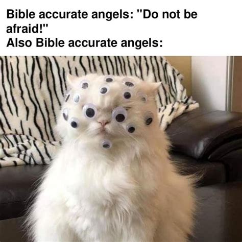 Bible Accurate Angels Do Not Be Afraid Also Bible Accurate Angels Ifunny
