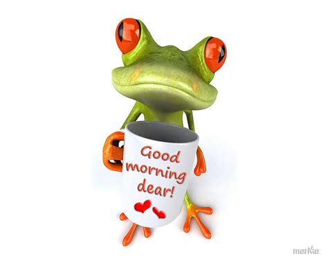 Good Morning Frog Frog 3d Dear Good Morning Funny Hd Wallpaper
