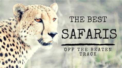 You Can Find Some Of The Best Safaris Off The Beaten Track If You Know