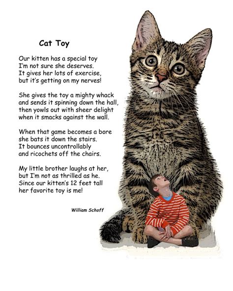 Cat Poems That Rhyme