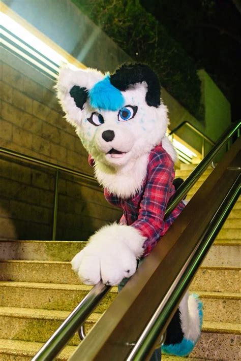 How To Fursuit In Public Safely Furry Amino