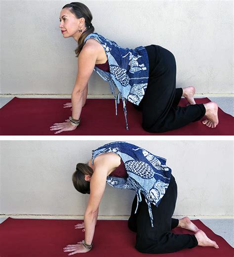 Cat cow pose is commonly found in the following types of yoga sequences activates the adrenal glands: Yoga for Neck Pain | Neck and Shoulder Stretches | Openfit