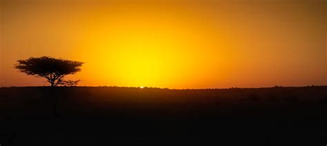 Desert Sunrise - Sunrise in the Thar Desert of India, Copy space | Desert sunrise, Sunrise ...