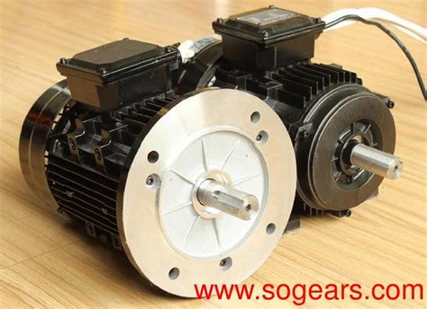 Brushless Permanent Magnet Motor