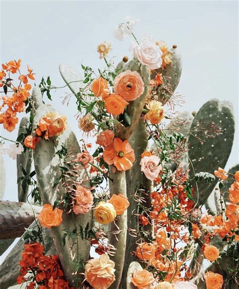 Cactus Meets Floral Beautiful Flowers Pretty Flowers Plants