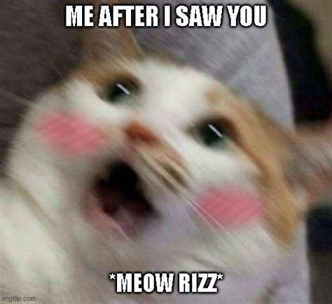 Cat Rizz Imgflip