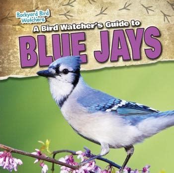Bird watching isn't just for grandfathers and boy scouts! Backyard Bird Watchers | Gareth Stevens