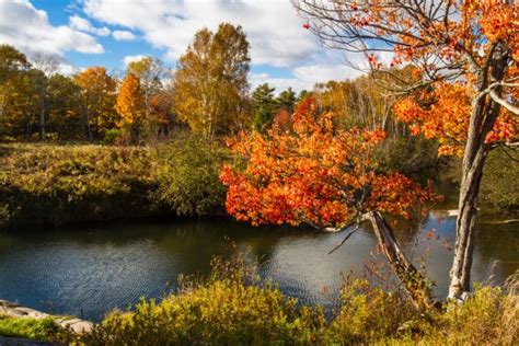 Autumn In Killarney Provincial Park Ontario Canada Stock Photo By