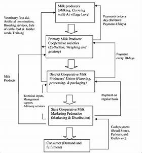 Organizational Structure Chart Of Amul