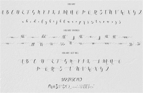 Font Download Digital Font Calligraphy Font Script Font Handwritten
