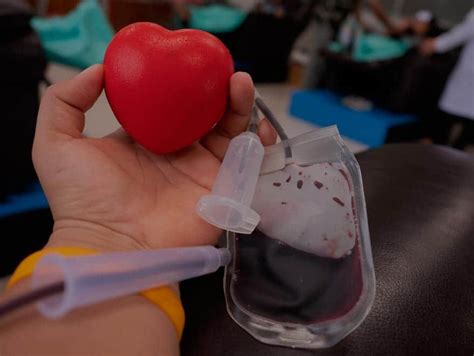 requisitos para donar sangre donar sangre requisitos 2022