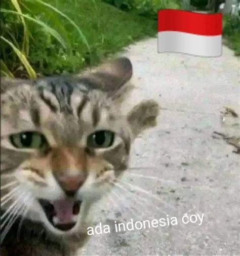 Meme Hanya Ada Di Indonesia Ini Dijamin Bikin Kamu Tertawa L