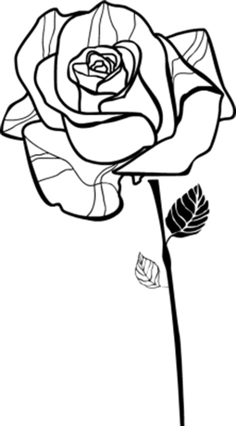 Find & download free graphic resources for flower lineart. Hand-drawn Black Roses - Free Clip Arts Online | Fotor ...