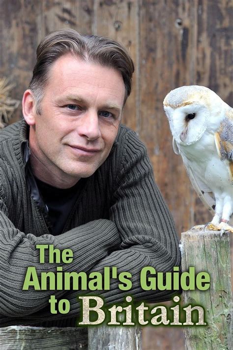 The Animals Guide To Britain Tv Series 2011 Imdb