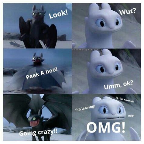 Httyd Memes Meme 11 How Train Your Dragon How To Train Your Dragon