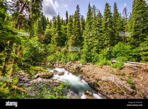 Sol Duc River In Olympic National Park Washington Usa Stock Photo Alamy