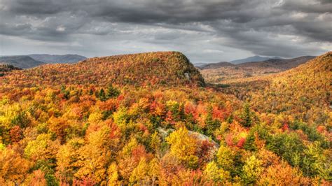 Yellow Green Red Leaves Fall Autumn Trees Mountains Under Black Clouds