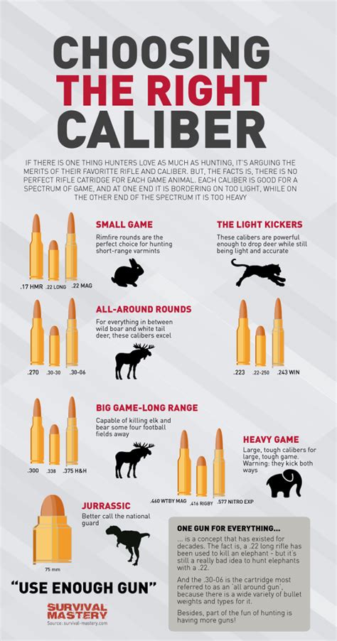 Survival Smarts Choosing The Right Caliber For Hunting Infographic