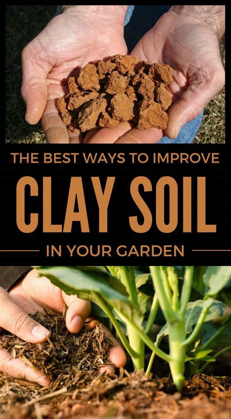 The Best Ways To Improve Clay Soil In Your Garden Controlpestsingarden