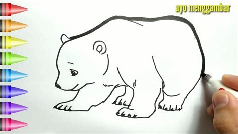 Detail Sketsa Gambar Beruang Koleksi Nomer 3