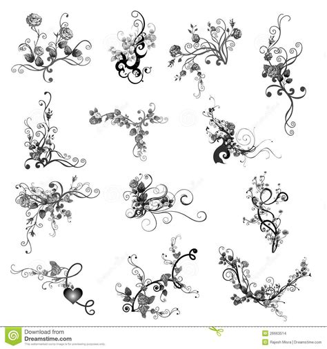 Drawings Of Roses With Leaves And Vines Rose Vines Stock Images