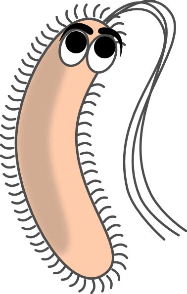 Modified Funny Bacteria Clip Art At Vector Clip Art Wikiclipart