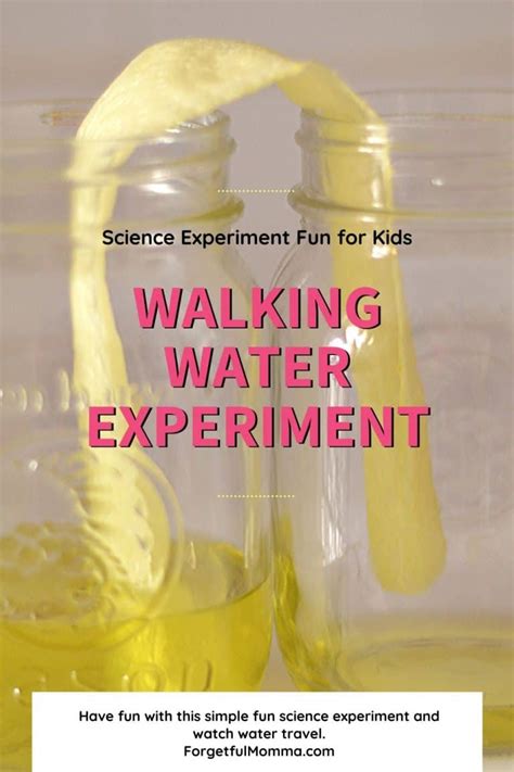 Colorful Walking Water Science Experiment Forgetful Momma