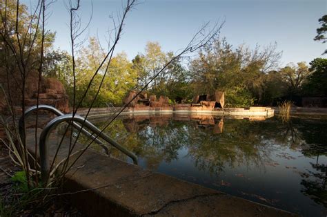 Photos Of The Abandoned Disney River Country Water Park Business Insider