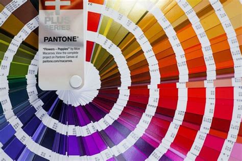 Guia Pantone Conheça Mais Sobre O Maior Sistema De Cores Gráfica Rocha