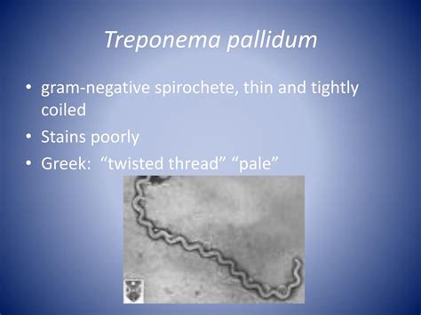 PPT Mycobacterium PowerPoint Presentation Free Download ID