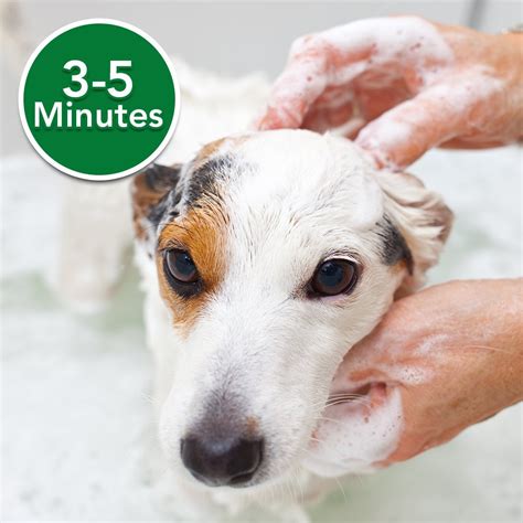 Vets Best Flea Itch Relief Shampoo 16 Oz Naturally For Pets